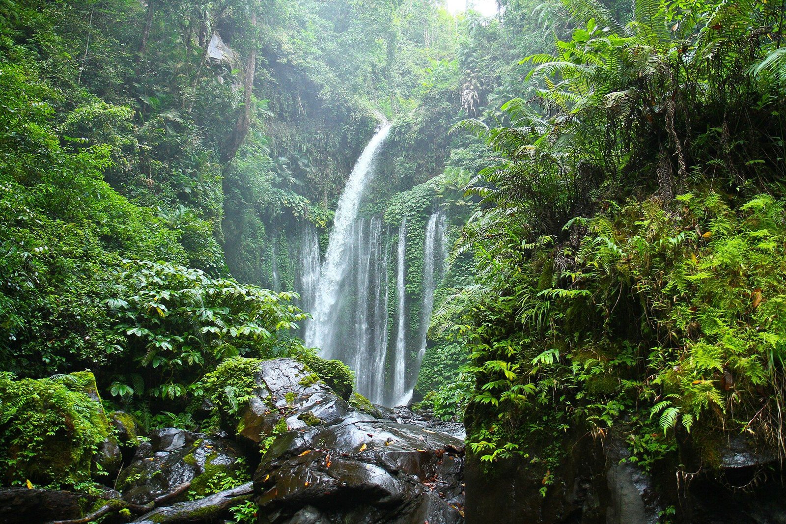 Senaru, North Lombok · Rinjani