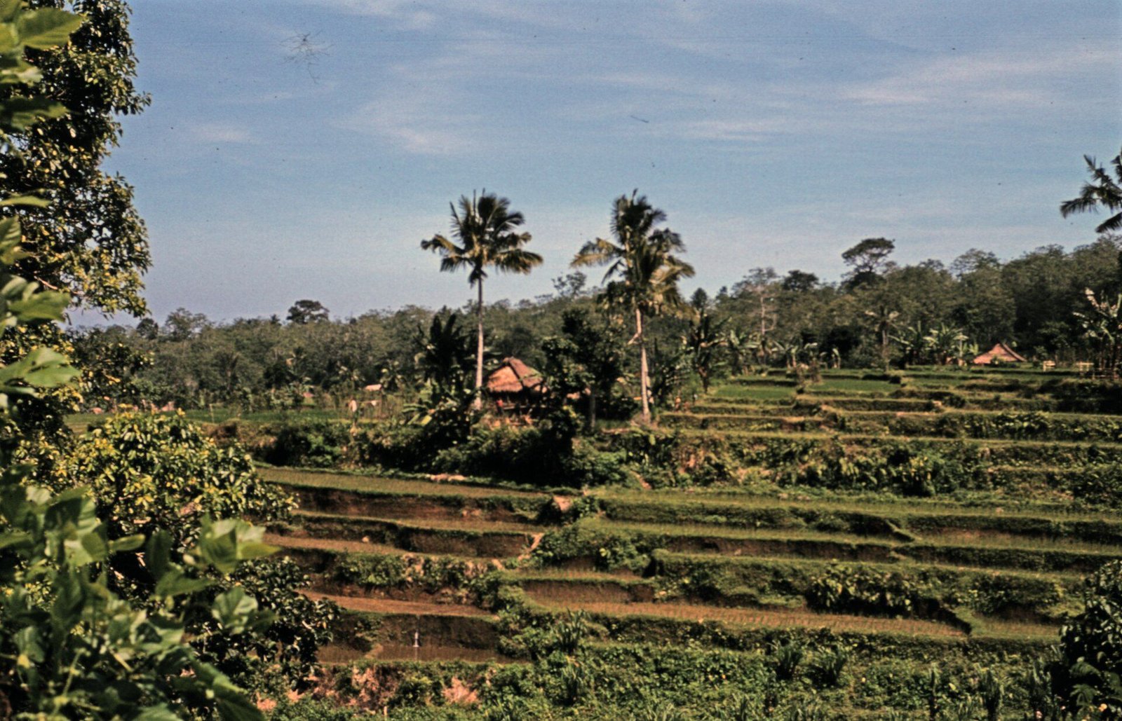 Tetebatu, East Lombok · Rinjani Foothills