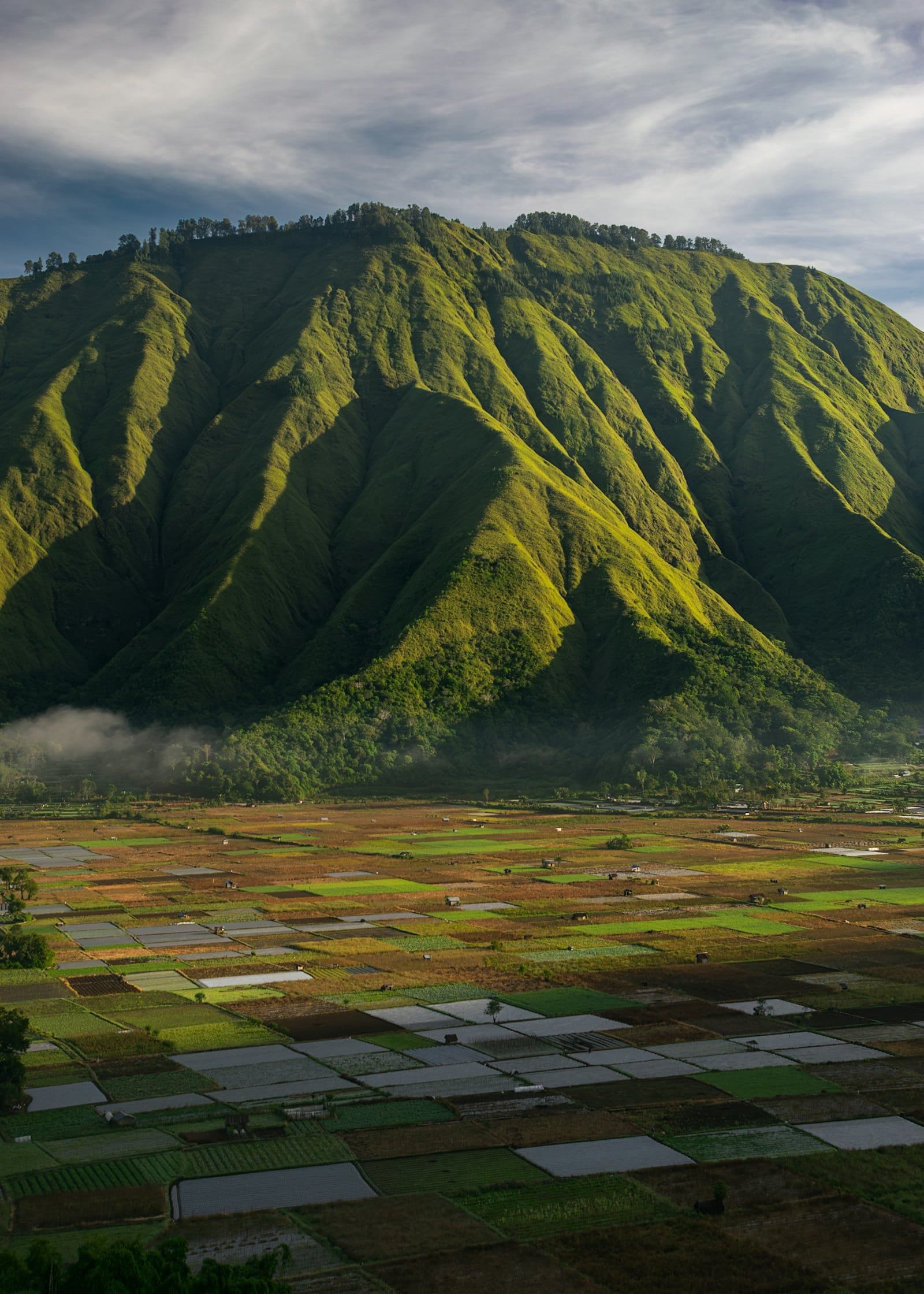 Sembalun, East Lombok · Rinjani Highlands