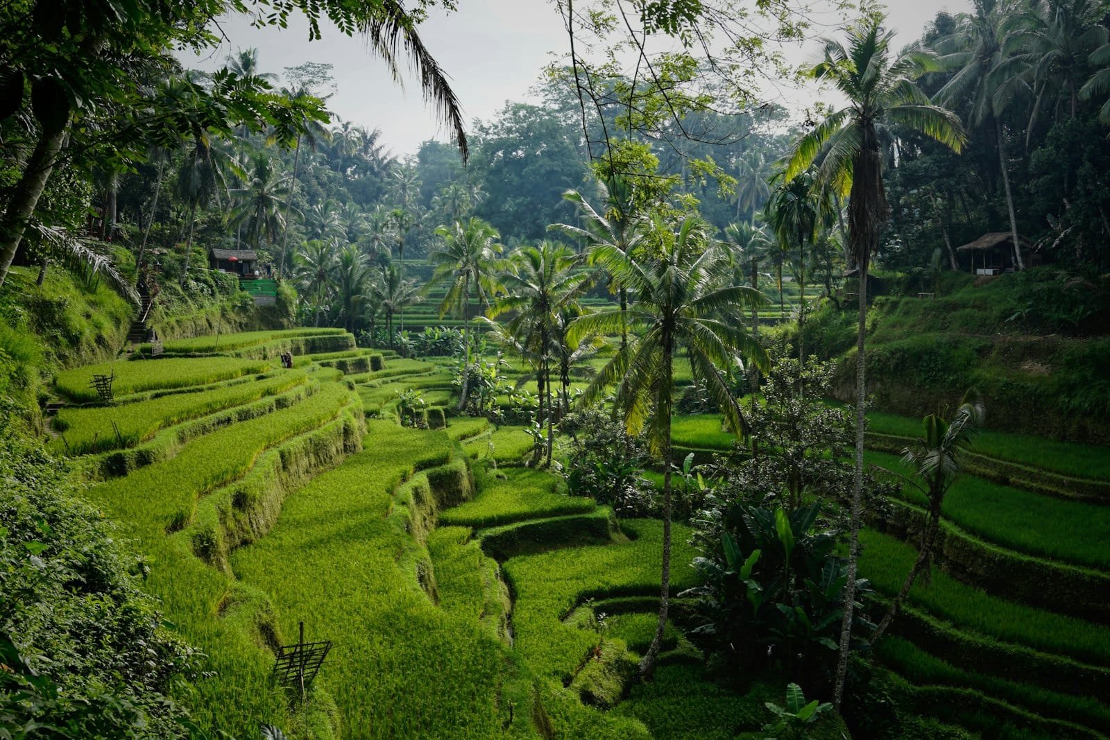 Ubud & Central Ubud, Central Bali