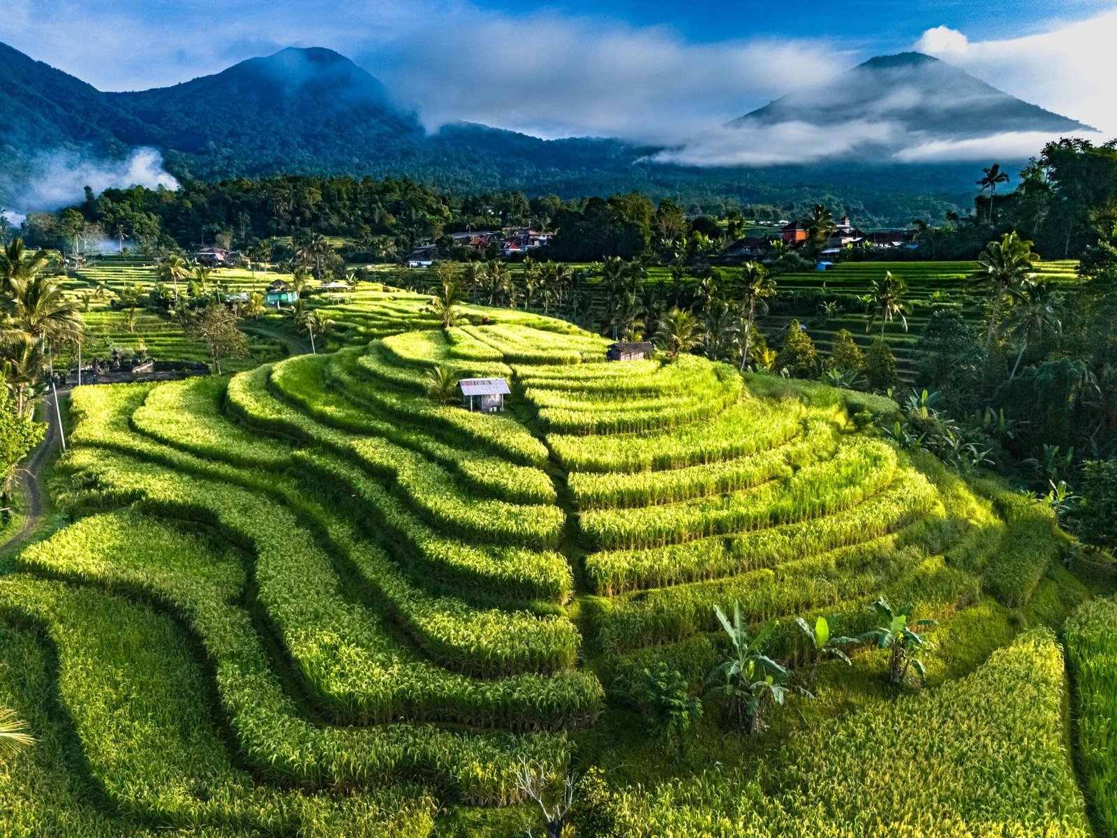Jatiluwih & Penebel, West-central Bali