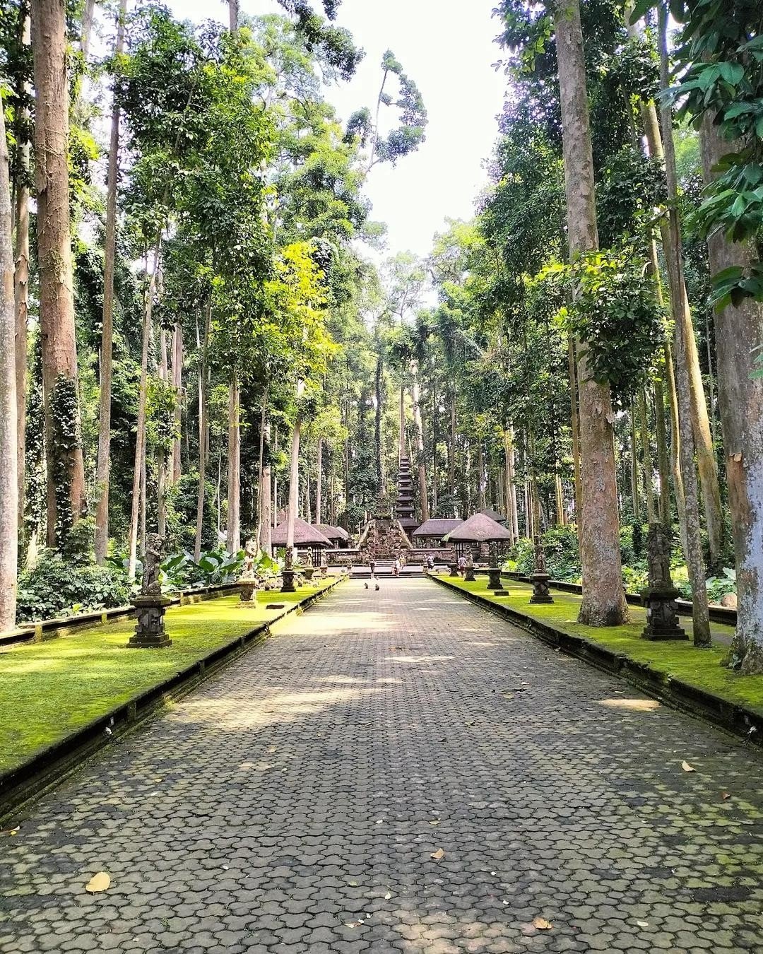 Sangeh & Central Bali Forests, Central Bali