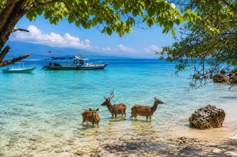 West Bali National Park & Gilimanuk, West Bali