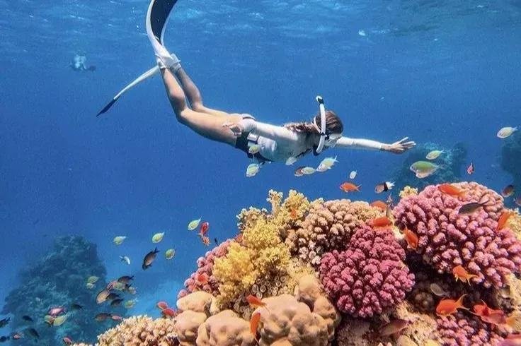 Amed Snorkeling & Tulamben 2 Days 1 Night Ocean Escape — photo 2