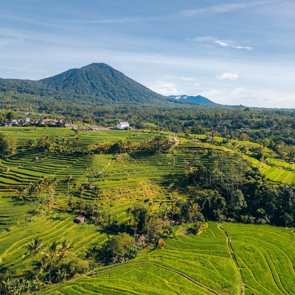 Jatiluwih Rice Terraces & Batukaru Heritage, JATILUWIH & PENEBEL · TABANAN COAST & TANAH LOT