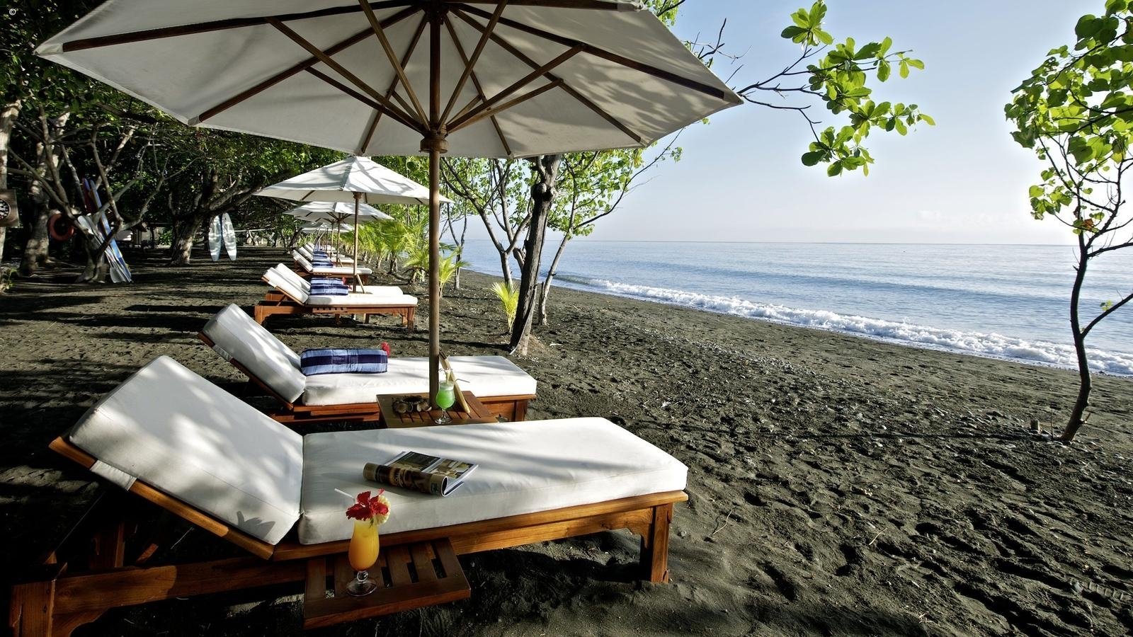 Menjangan Snorkeling & Pemuteran West Bali Marine Escape — photo 4
