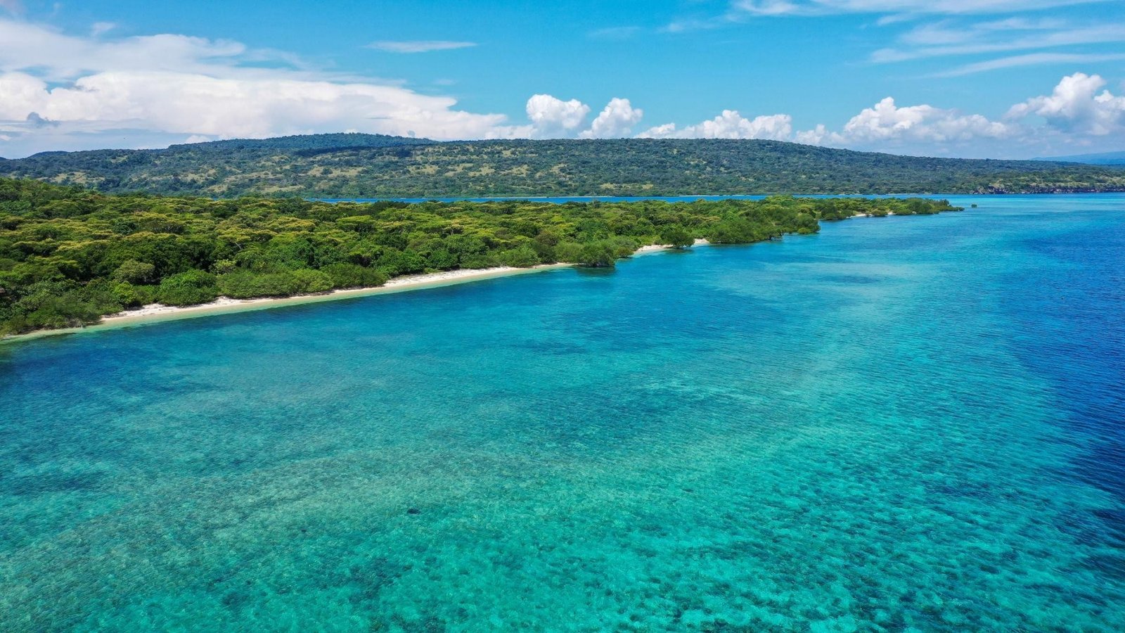 Menjangan Snorkeling & Pemuteran West Bali Marine Escape, LOVINA & KALIBUKBUK · MENJANGAN ISLAND MARINE ESCAPE