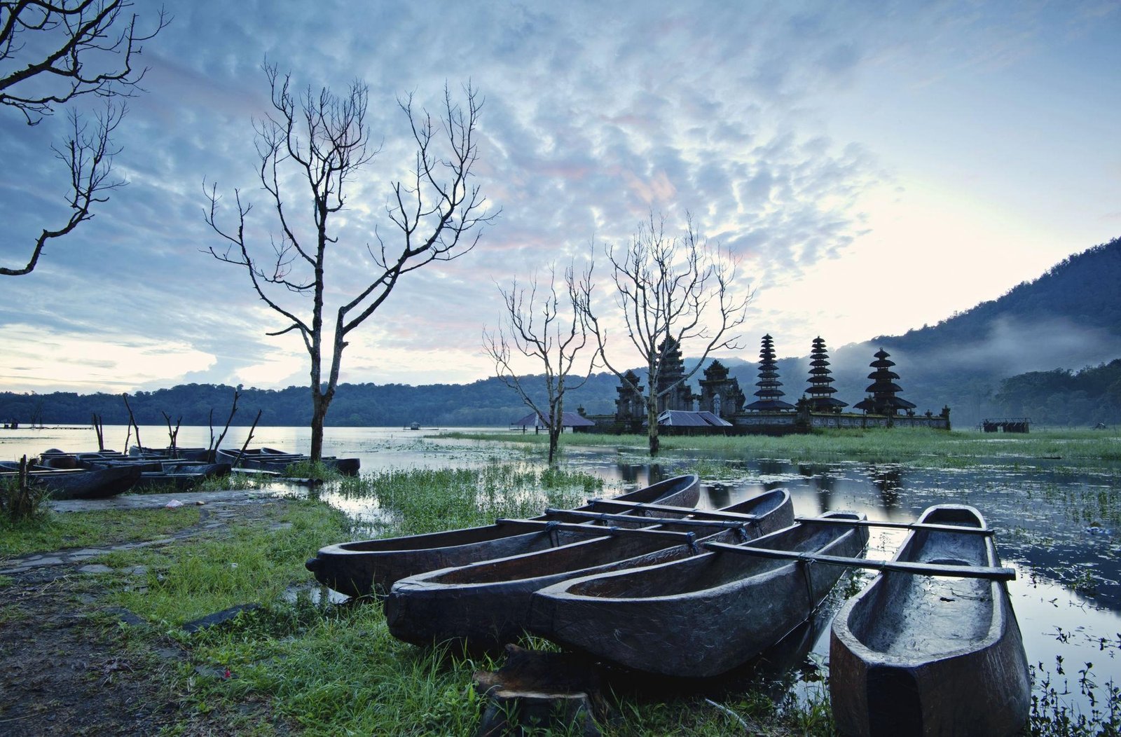 Nungnung, Banyumala & Tamblingan Waterfall & Highland Escape — photo 2