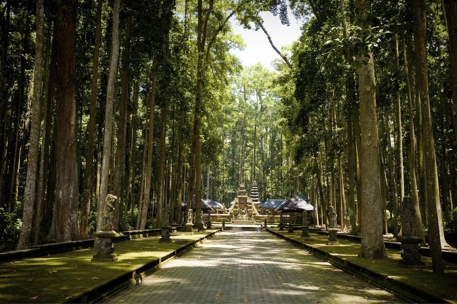 Royal Temples & Sacred Forests of Bali, MENGWI & ROYAL HERITAGE · SANGEH & CENTRAL BALI FORESTS