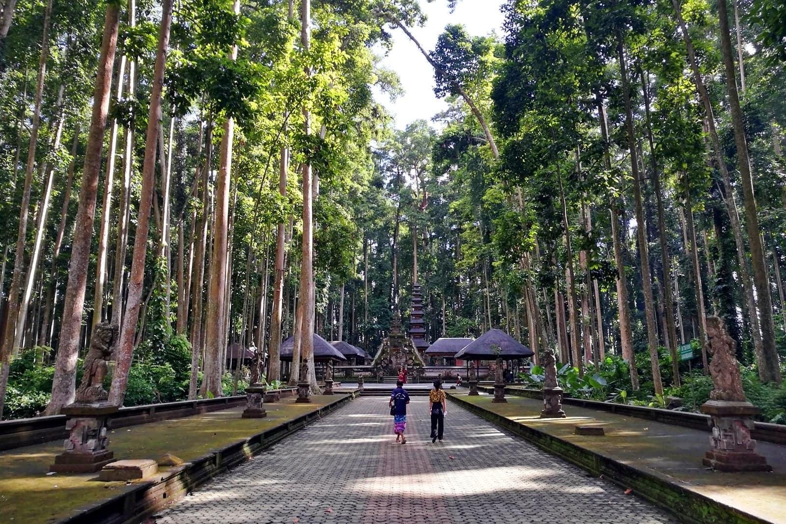 Taman Ayun, Sangeh & Batukaru Cultural & Sacred Highland Journey — photo 8