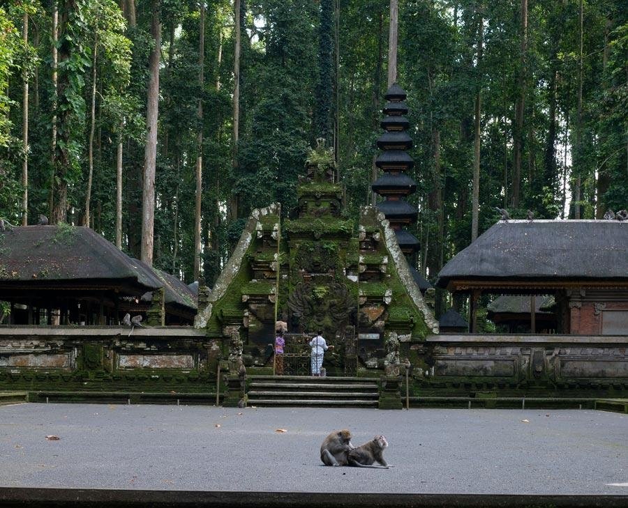 Taman Ayun, Sangeh & Batukaru Cultural & Sacred Highland Journey — photo 2