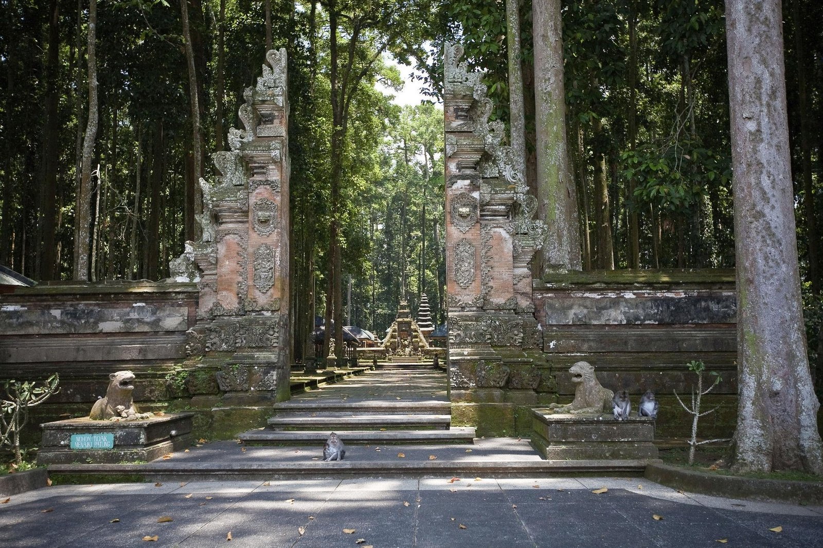 Taman Ayun, Sangeh & Batukaru Cultural & Sacred Highland Journey — photo 6
