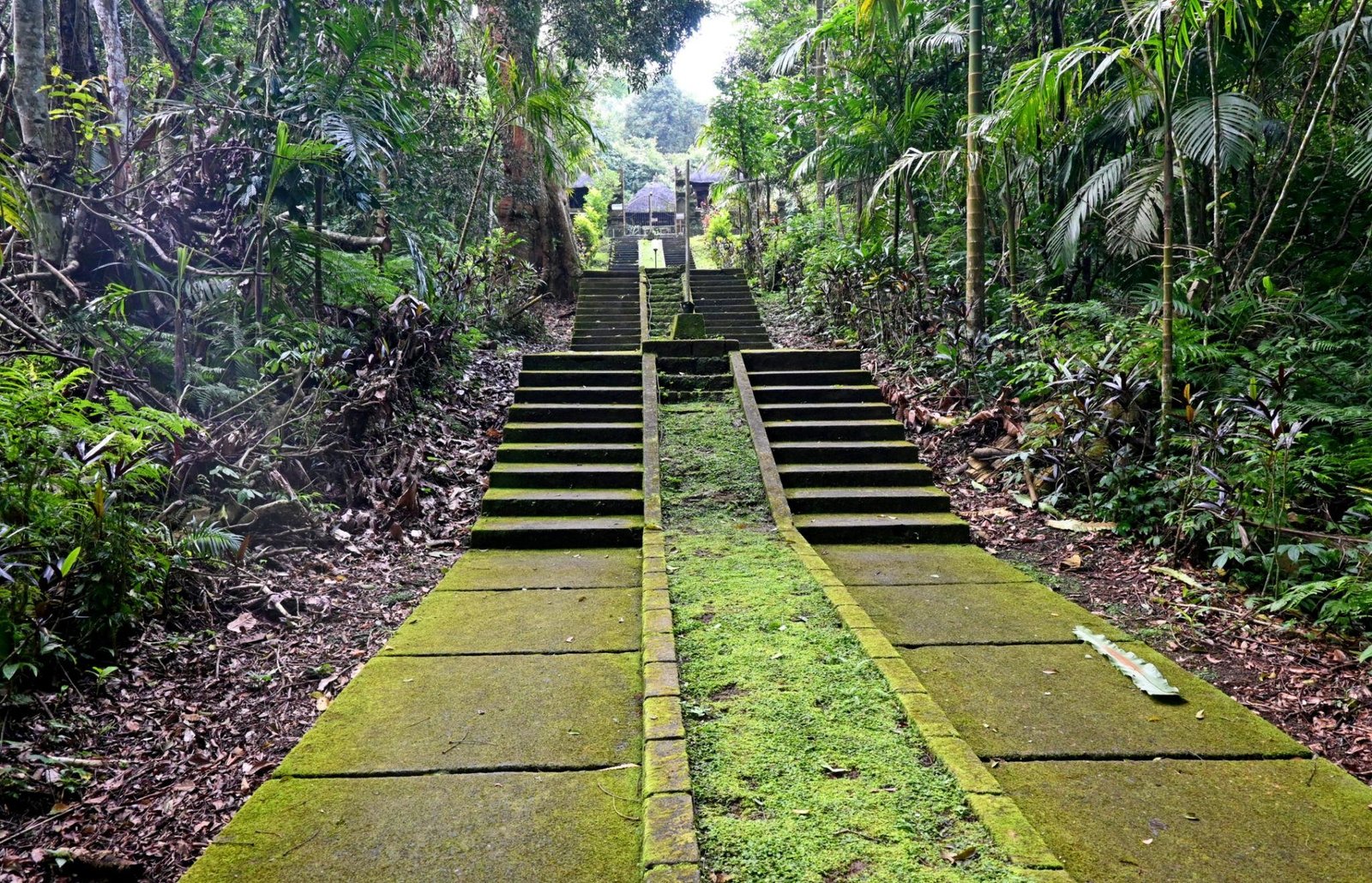 Taman Ayun, Sangeh & Batukaru Cultural & Sacred Highland Journey — photo 1